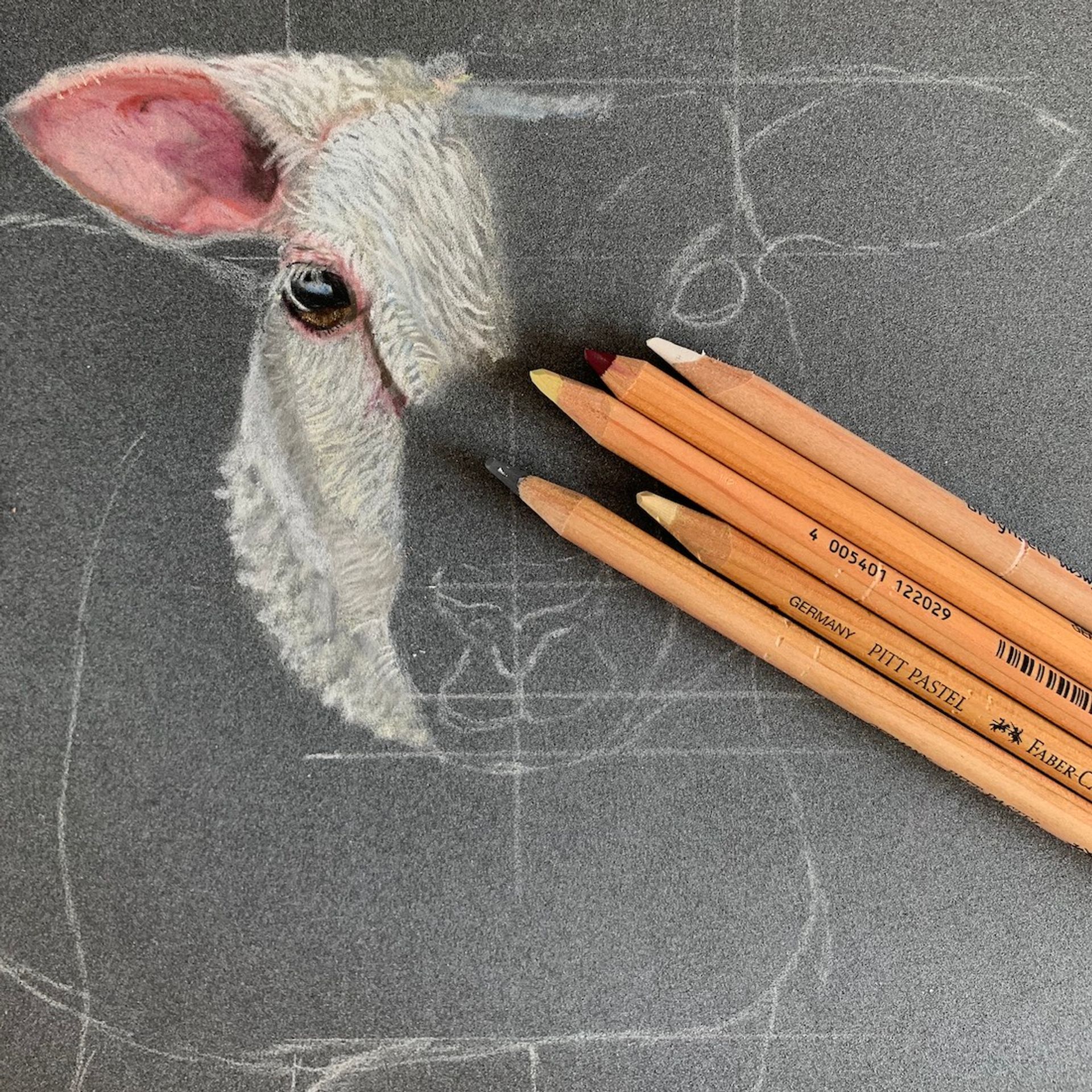 Dierenportretten Schaapje2